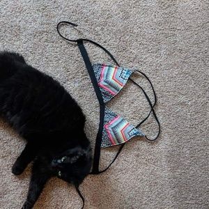 Bikini top, cat not included